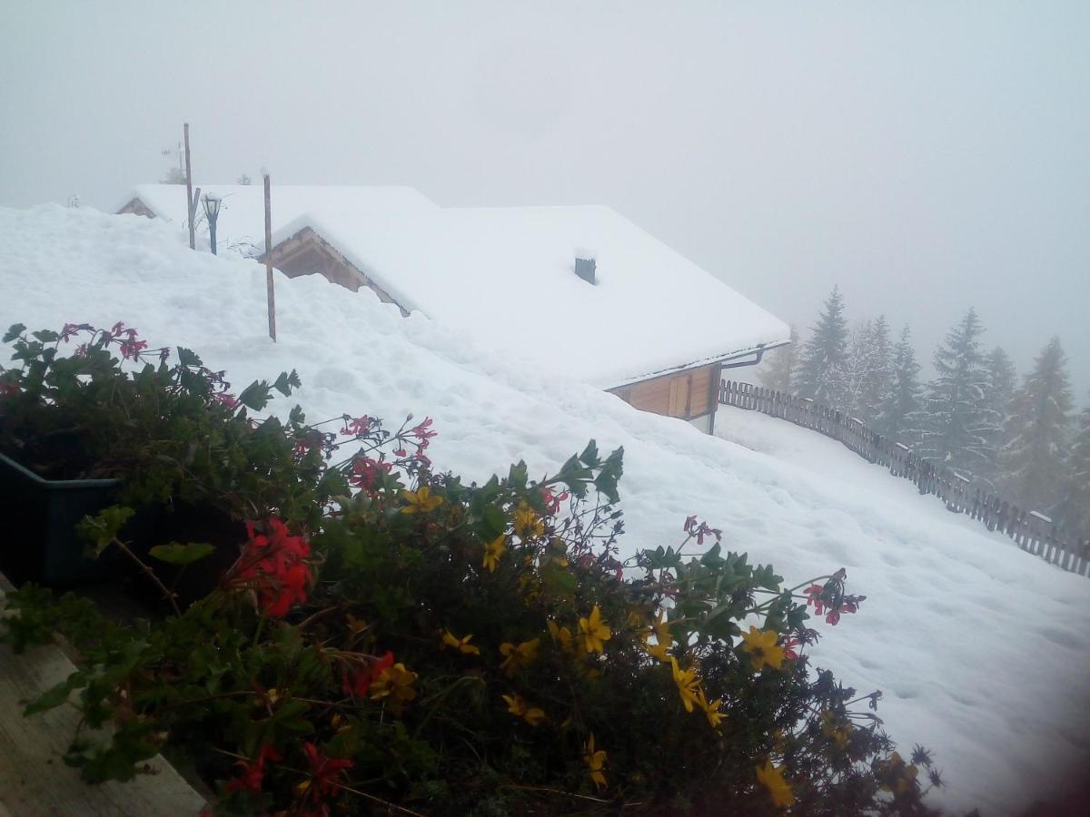 Chalet Niederhaushof 울티모 외부 사진