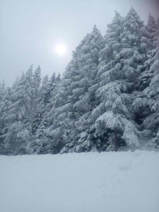 Chalet Niederhaushof 울티모 외부 사진